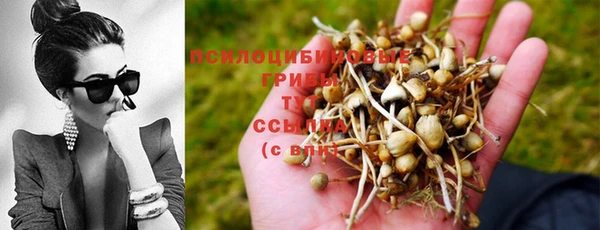 метадон Богородицк