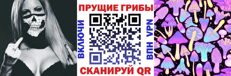 Галлюциногенные грибы мицелий  дарнет шоп  Волосово 